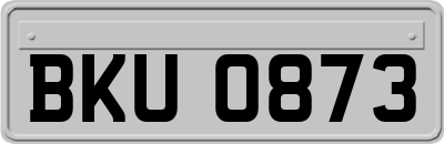 BKU0873