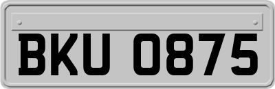 BKU0875