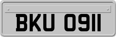 BKU0911