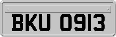 BKU0913