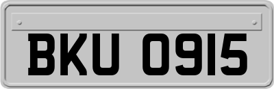 BKU0915