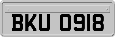 BKU0918