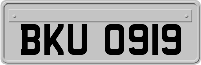 BKU0919