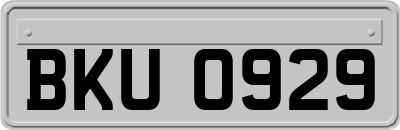 BKU0929