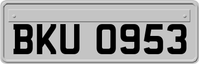 BKU0953