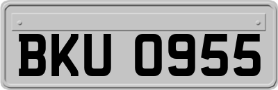 BKU0955