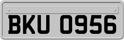 BKU0956