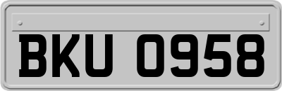 BKU0958