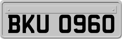 BKU0960