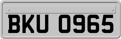 BKU0965
