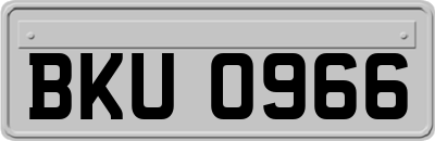 BKU0966