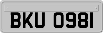 BKU0981