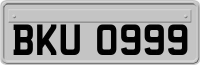 BKU0999