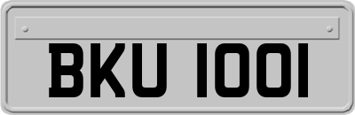 BKU1001