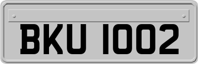 BKU1002