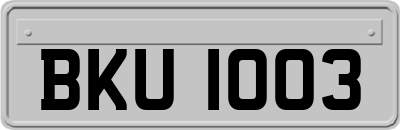 BKU1003