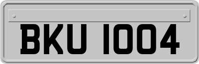 BKU1004