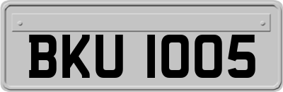 BKU1005