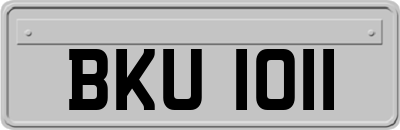 BKU1011