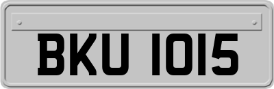 BKU1015