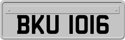 BKU1016