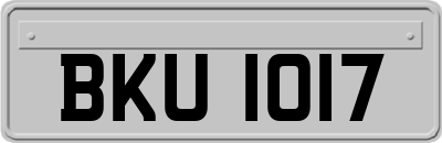 BKU1017