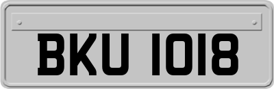 BKU1018
