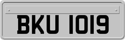 BKU1019