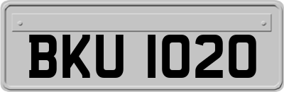 BKU1020