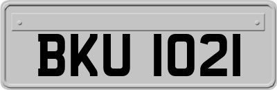 BKU1021