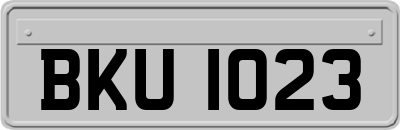 BKU1023