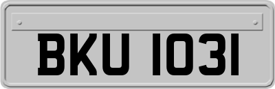 BKU1031