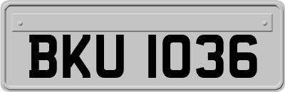 BKU1036