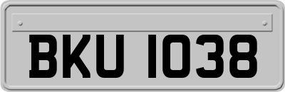 BKU1038