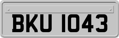 BKU1043