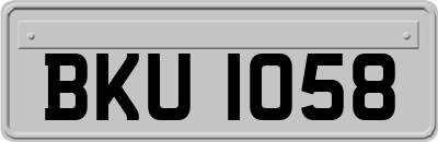 BKU1058
