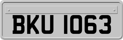 BKU1063