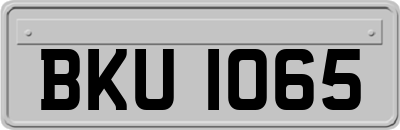 BKU1065