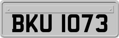 BKU1073