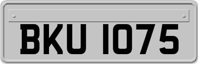 BKU1075