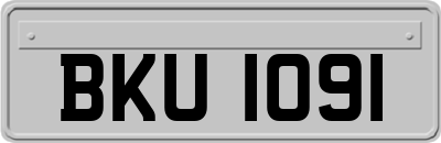 BKU1091