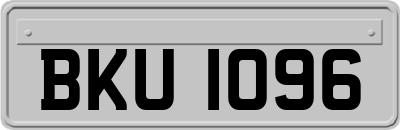 BKU1096