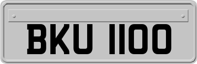 BKU1100