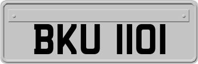 BKU1101
