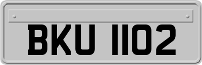 BKU1102