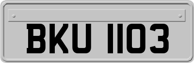 BKU1103