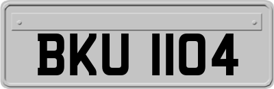 BKU1104