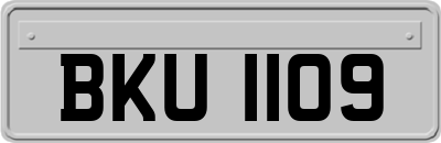 BKU1109