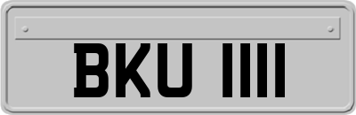 BKU1111