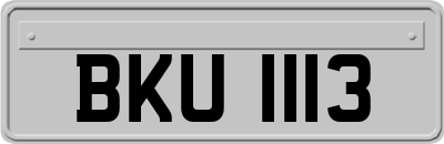 BKU1113